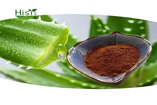 Why Is Aloe Emodin Powder Popular in Botanical Ingredients?